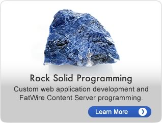 Rock Solid Programming.  Custom web application development and FatWire Content Server programming.